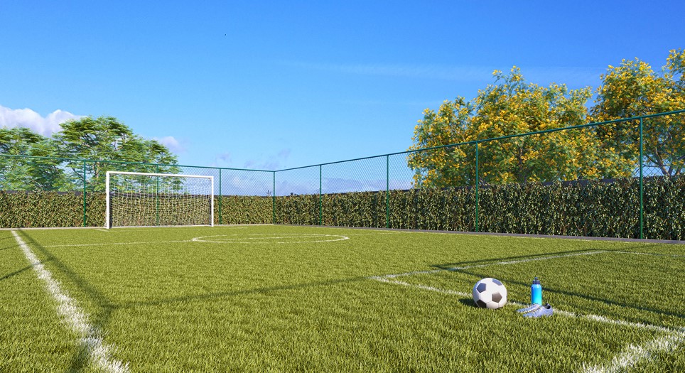 CAMPO GRAMADO