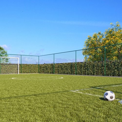 CAMPO GRAMADO